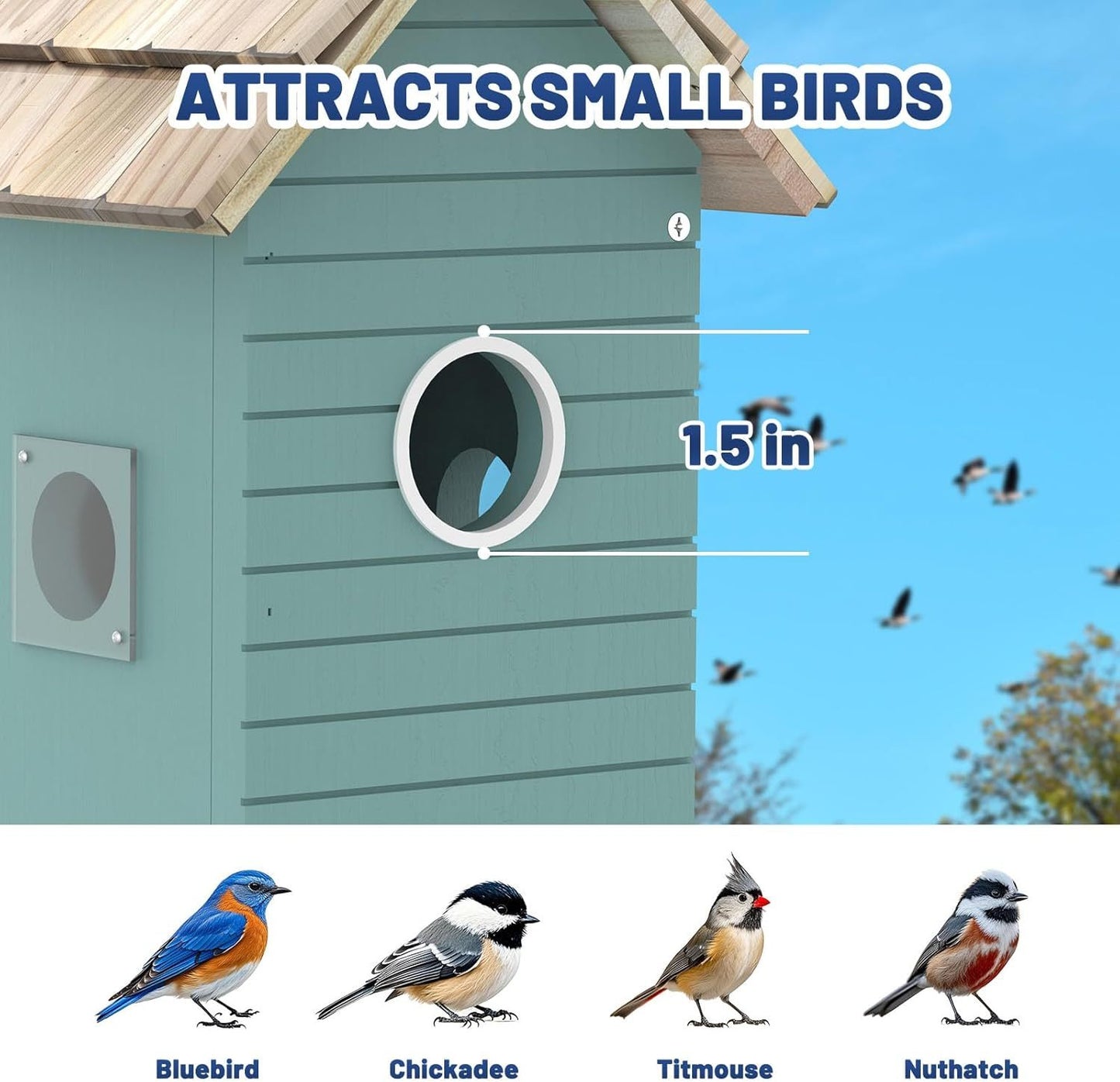 smart bird house,bird feeder with camera - ai bird species identification, 3mp hd photos, inside 2.4g-wi-fi,1.5in focus, blue