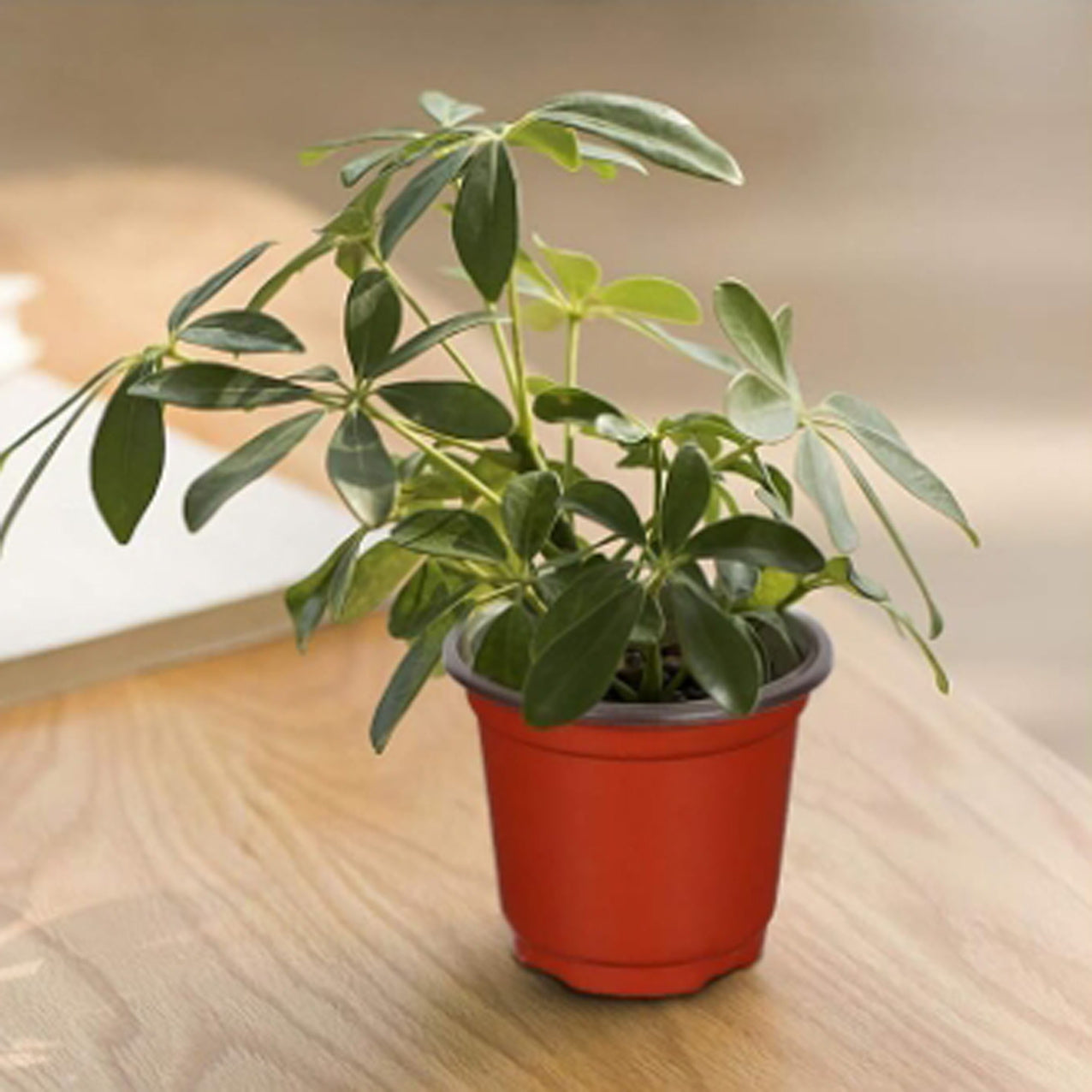 110 pieces 10cm plant pots nursery pots red plastic flower pot